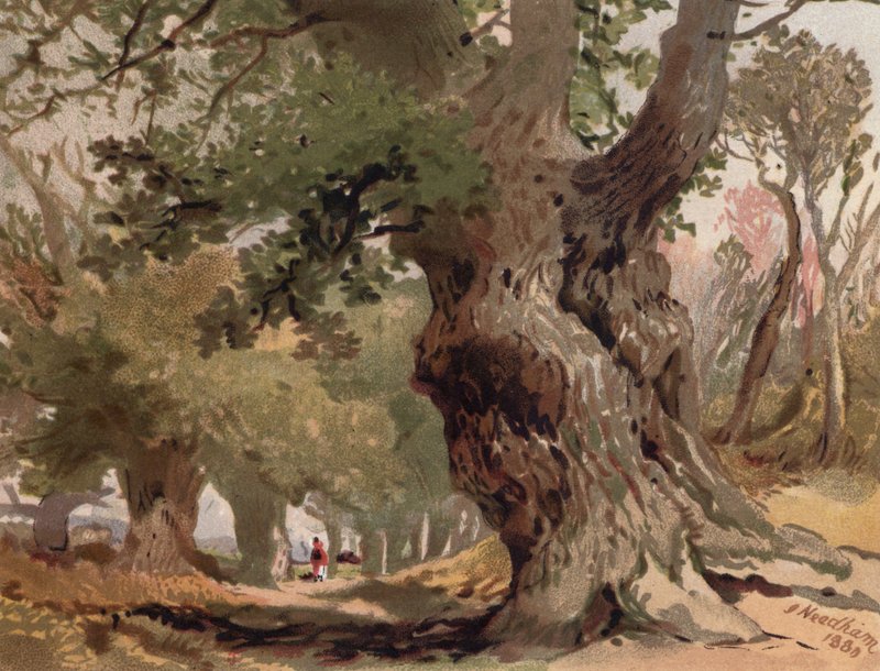 Jelenet a Sherwood Forestben (színes litó) alkotó: English School