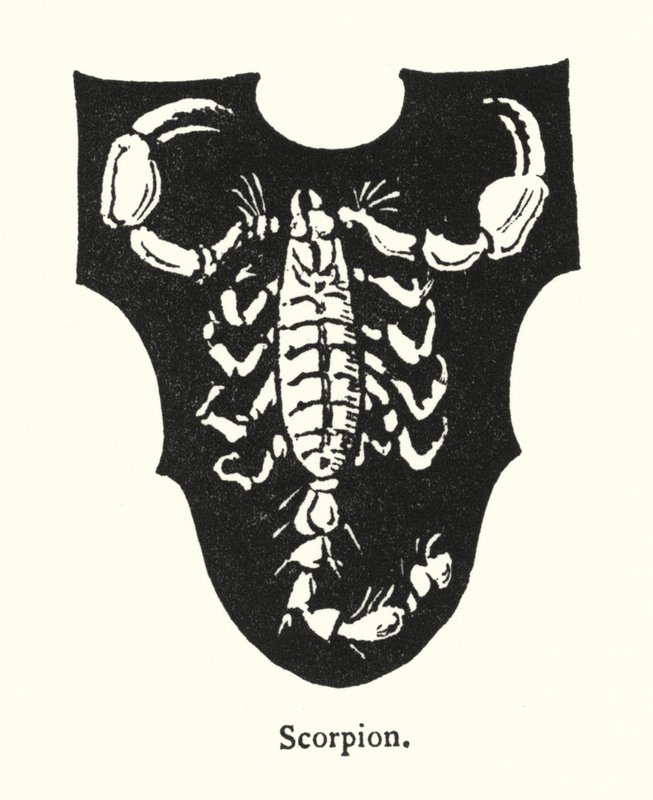 Skorpió (metszet) alkotó: English School