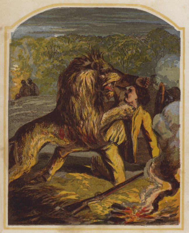 David Livingstone skót misszionáriust megtámadta egy oroszlán Afrikában (chromolitho) alkotó: English School