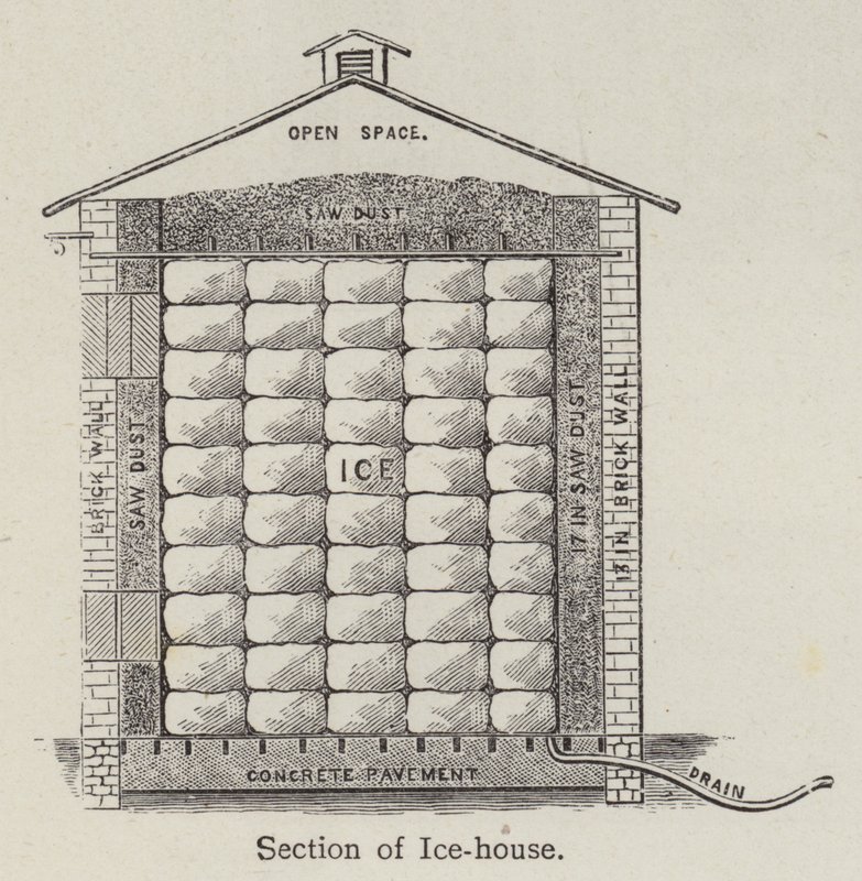 Jégház részlege (litho) alkotó: English School
