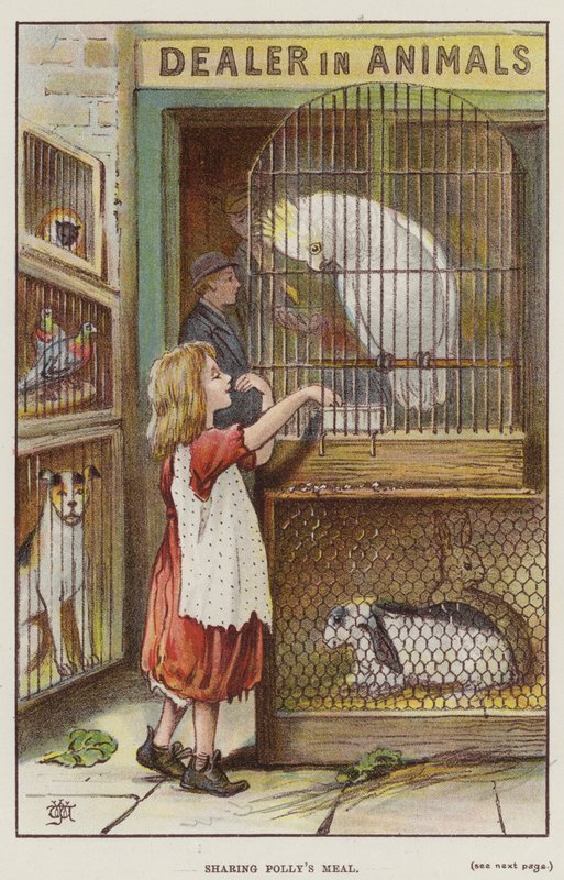 Polly étkezésének megosztása (színes litó) alkotó: English School