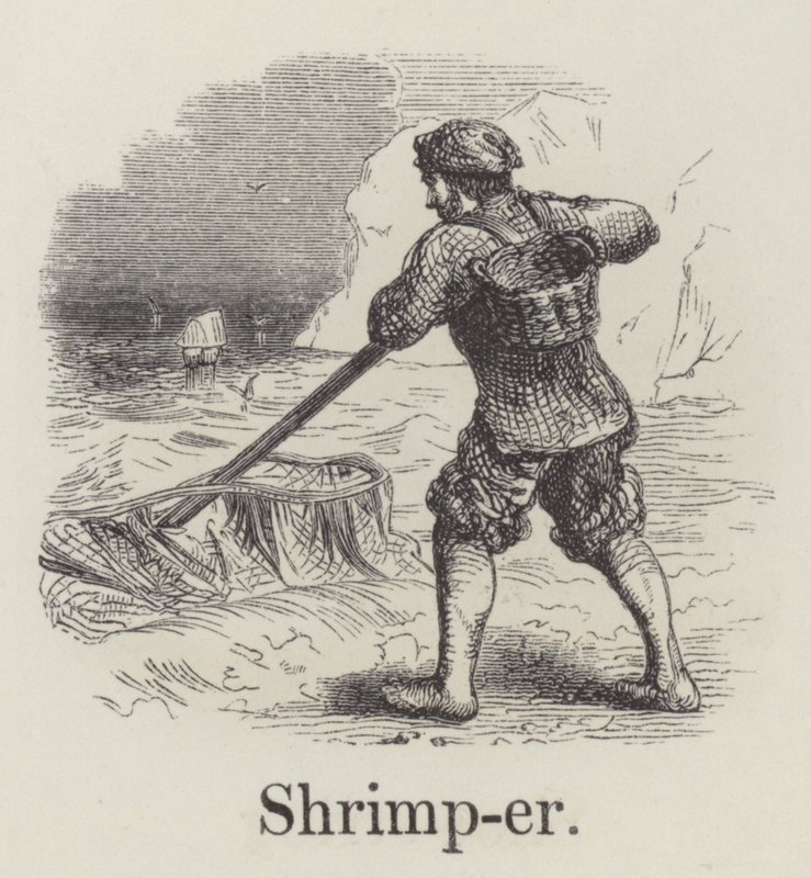Shrimper (metszet) alkotó: English School