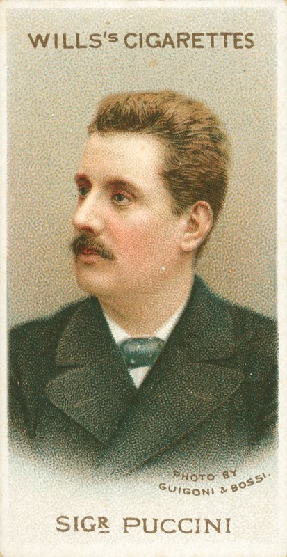 Sigr Puccini alkotó: English School