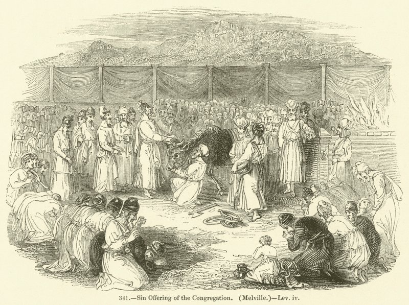 A gyülekezet bűnfeláldozása, Melville, Leviticus iv (metszet) alkotó: English School