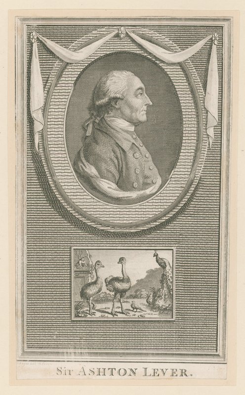 Sir Ashton Lever alkotó: English School