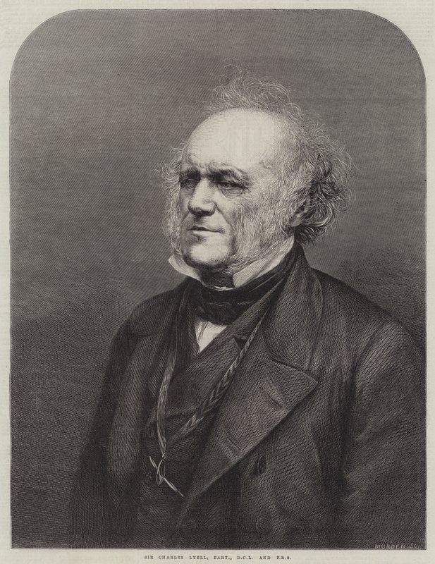 Sir Charles Lyell, Baronet, DCL és FRS (metszet) alkotó: English School