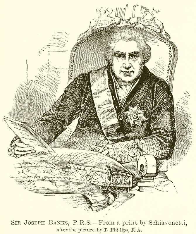 Sir Joseph Banks, P.R.S alkotó: English School
