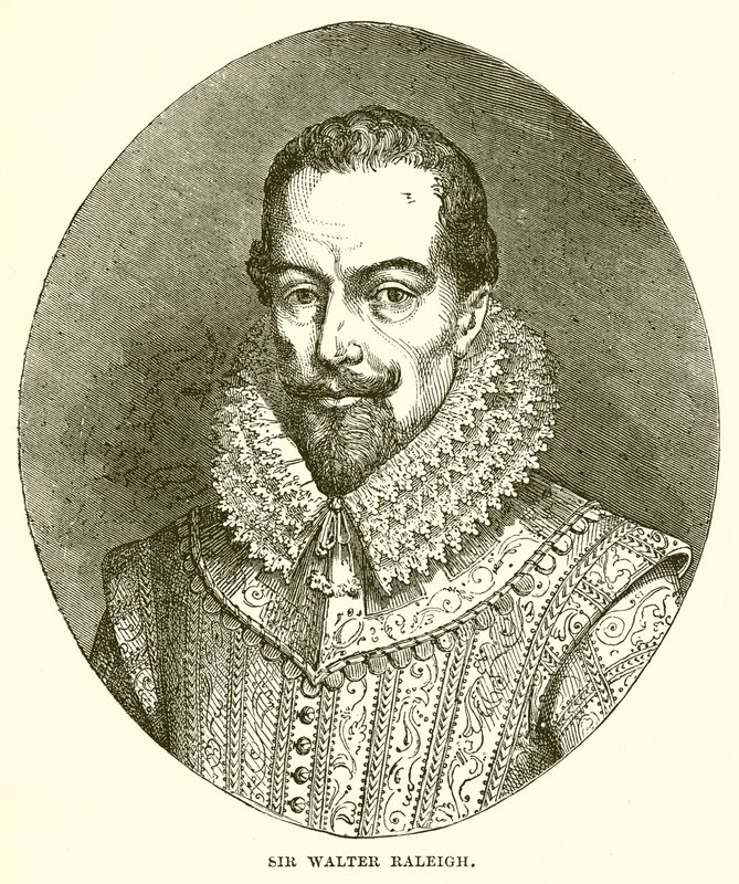 Sir Walter Raleigh alkotó: English School