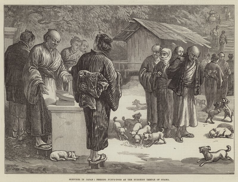 Vázlatok Japánban, kölyökkutya etetése Oyama buddhista templomában (metszet) alkotó: English School