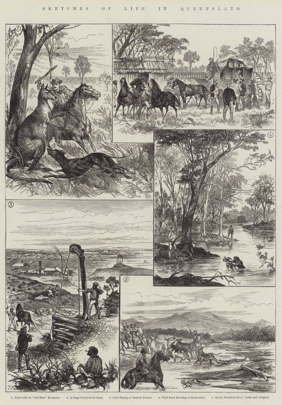 Vázlatok a queenslandi életről (metszet) alkotó: English School