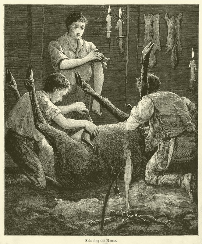 A jávorszarvas megnyúzása (metszet) alkotó: English School