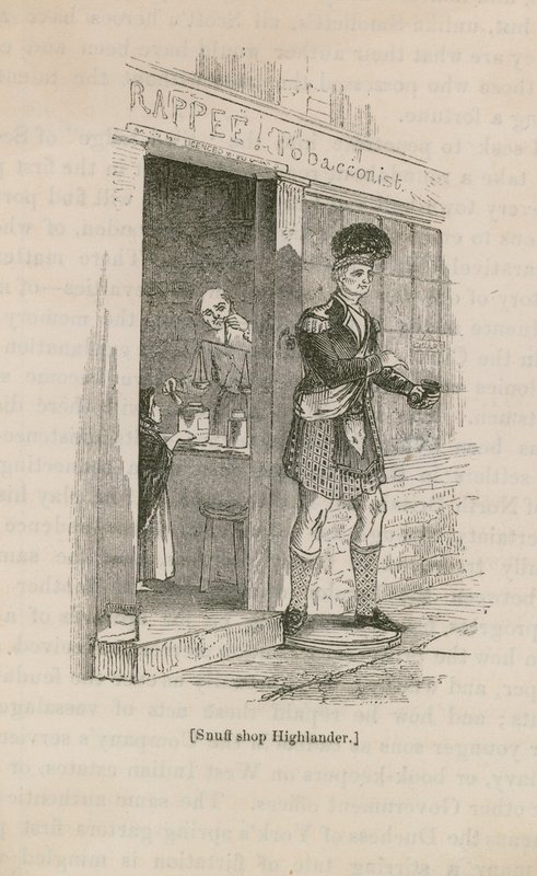 Snuff Shop Highlander alkotó: English School