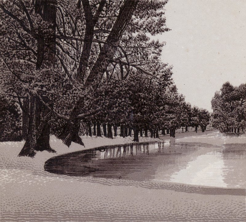 Sophia Gardens, Cardiff (litho) alkotó: English School