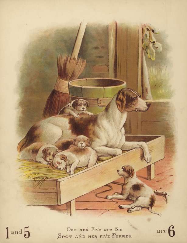 Spot és öt kiskutyája (chromolitho) alkotó: English School