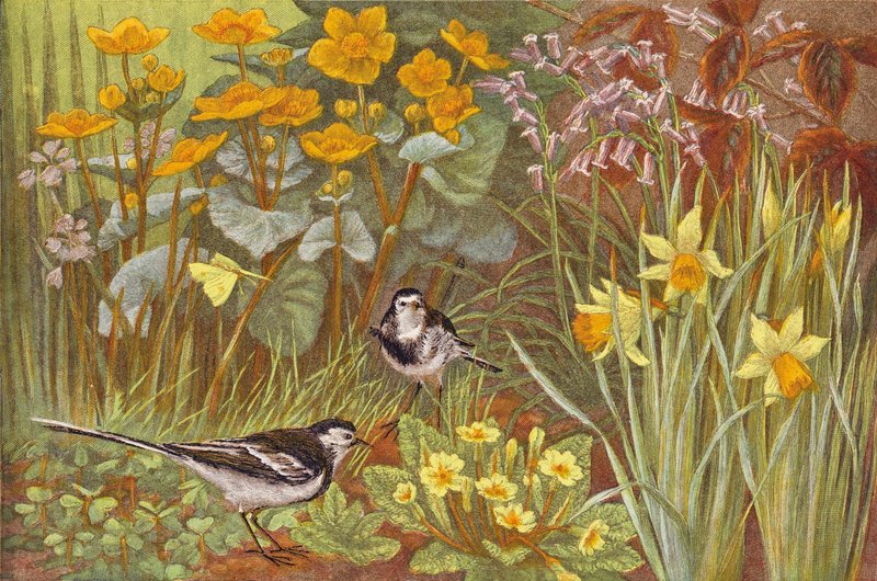 Tavasz (chromolitho) alkotó: English School