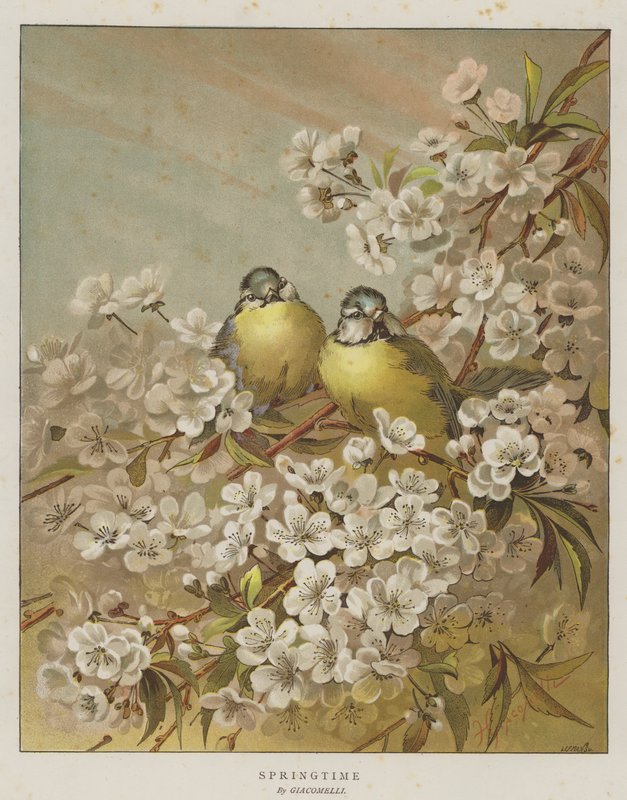 Tavasz (chromolitho) alkotó: English School