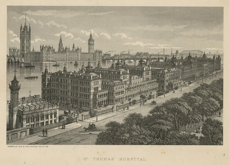 St Thomas Kórház, London alkotó: English School