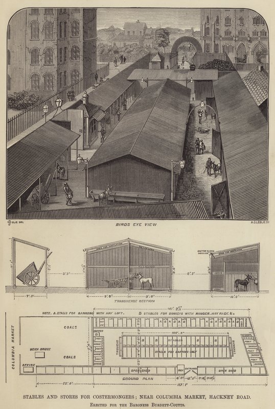Istállók és üzletek Costermongers számára, a Columbia Market közelében, Hackney Road, Burdett-Coutts bárónő számára (metszet) alkotó: English School