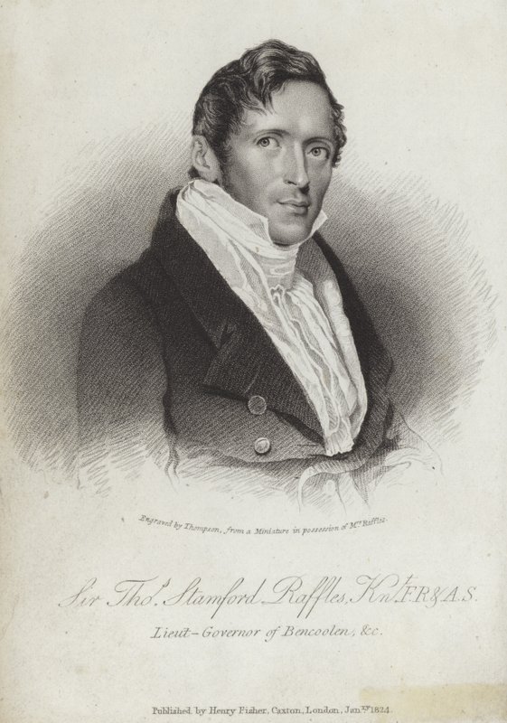 Stamford Raffles alkotó: English School