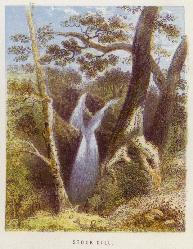 Stock Gill (színes litho) alkotó: English School