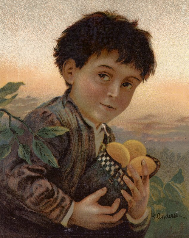 Lopott gyümölcs (színes litó) alkotó: English School