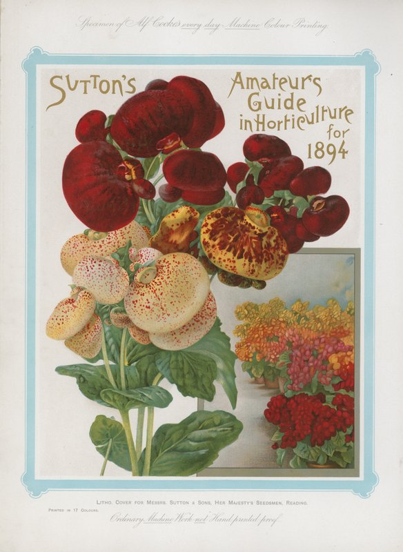 Suttons amatőrök útmutatója a kertészetben 1894-re alkotó: English School