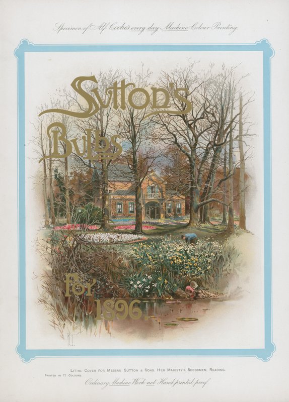 Suttons izzók 1896-ra alkotó: English School