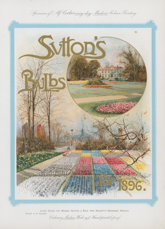 Suttons izzók 1896-ra alkotó: English School