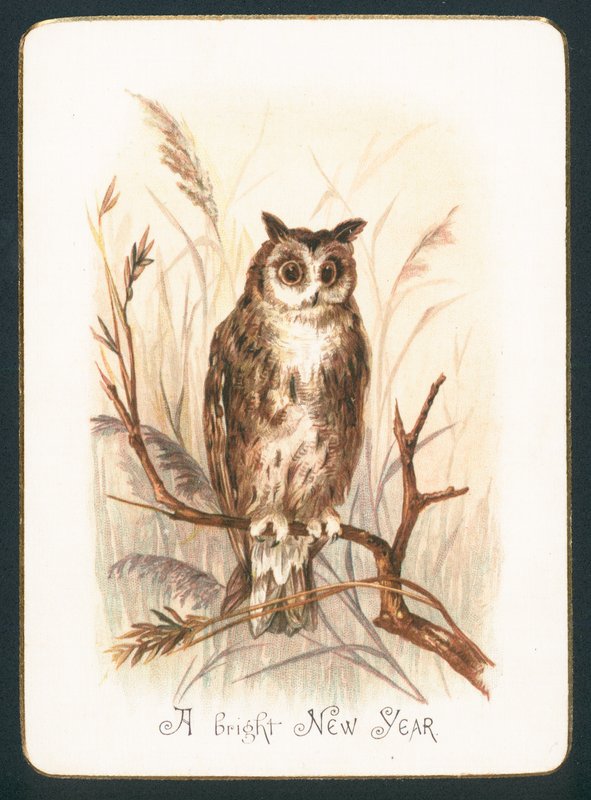 Tawny Owl, újévi kártya alkotó: English School
