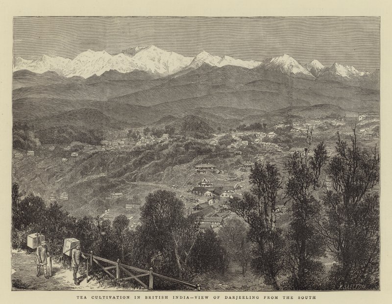 Teatermesztés Brit-Indiában, Darjeeling kilátása délről (metszet) alkotó: English School
