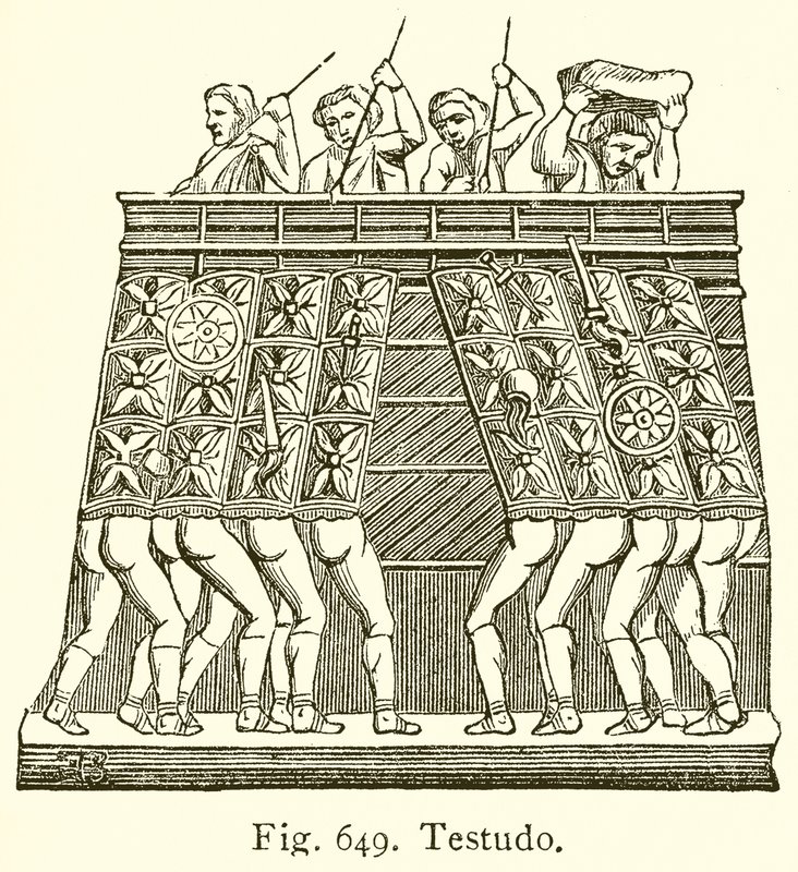 Testudo alkotó: English School