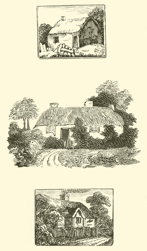 Nádfedeles nyaralók (fametszet) alkotó: English School