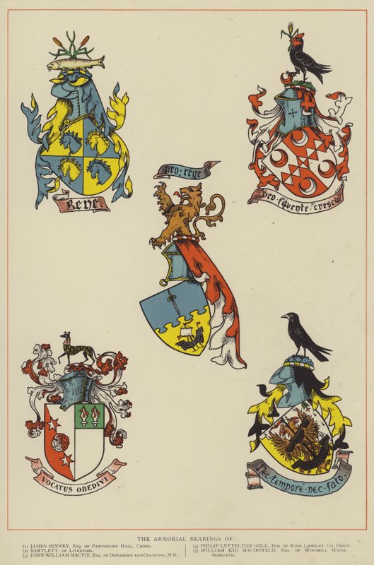 A fegyveres csapágyak (színes litó) alkotó: English School