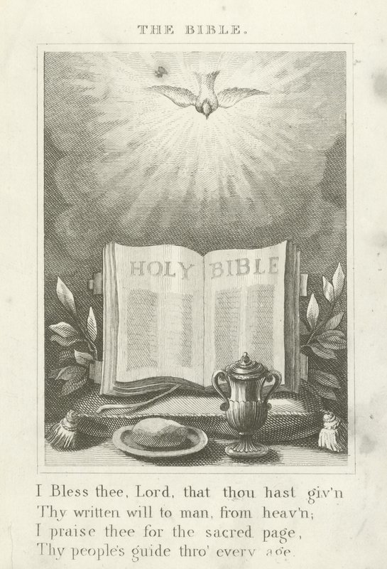 A Biblia alkotó: English School