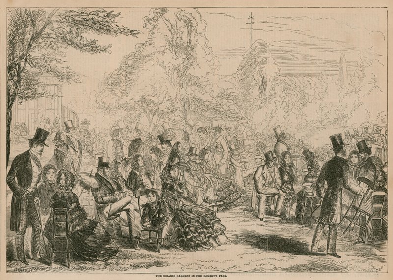 A botanikus kert a Regents Parkban, Londonban alkotó: English School