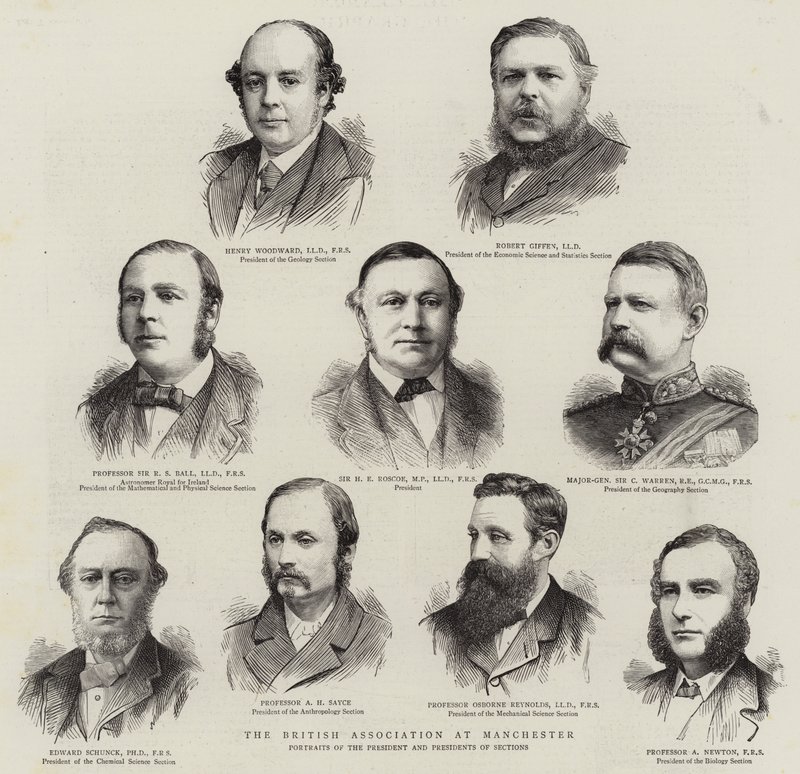 A Manchesteri Brit Szövetség (metszet) alkotó: English School