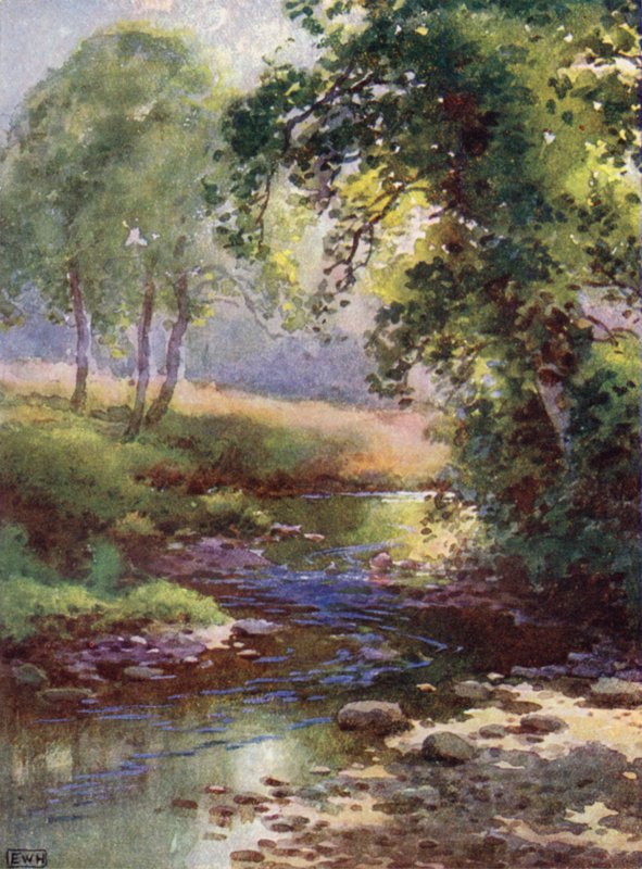 A patak (színes litográfia) alkotó: English School
