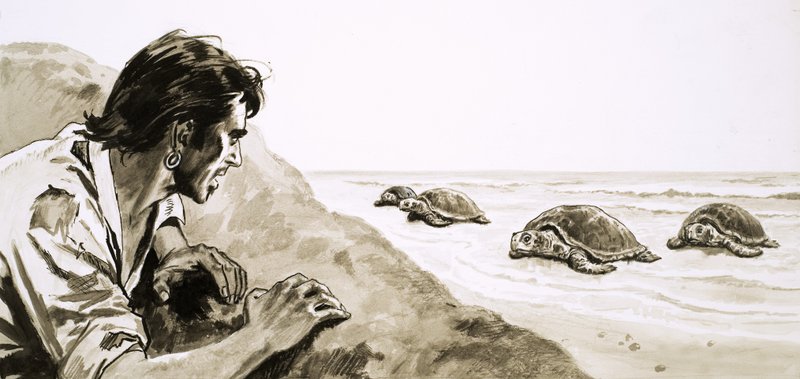 The Castaways: Terror of Turtle Island alkotó: English School