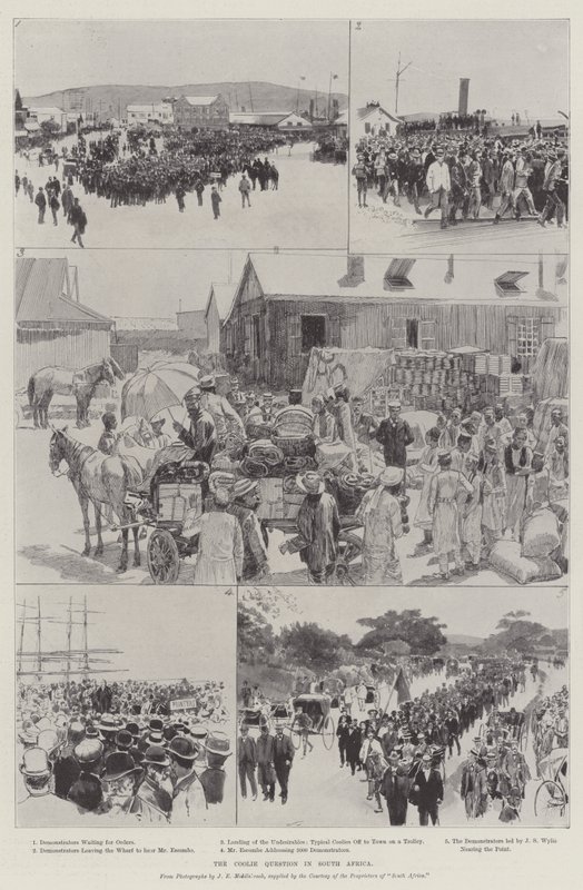 A Coolie-kérdés Dél-Afrikában (metszet) alkotó: English School