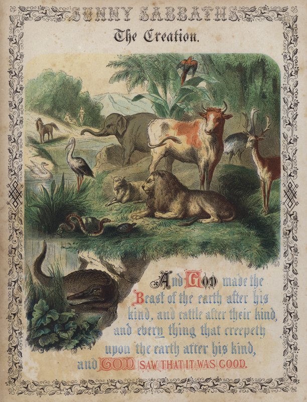 A teremtés (színes metszet) alkotó: English School