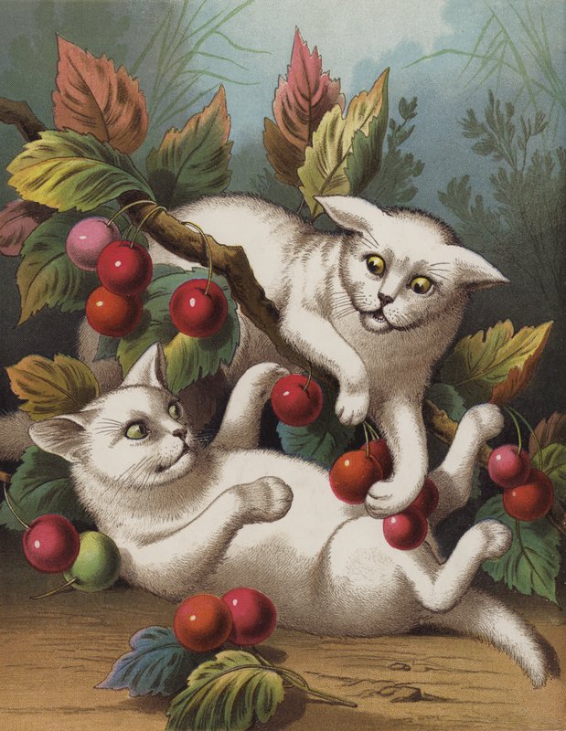 A keresztes cica (chromolitho) alkotó: English School