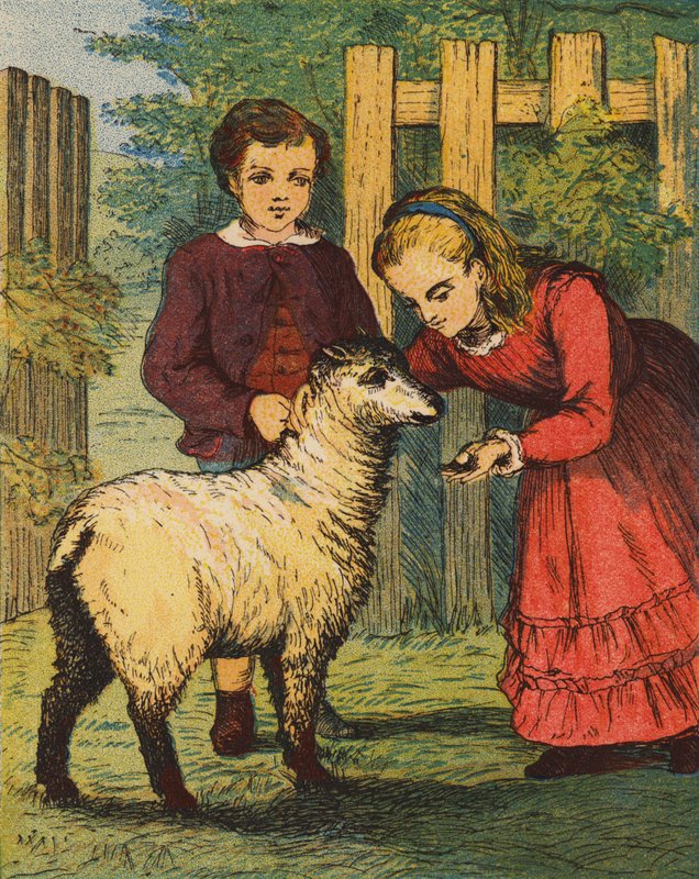A "kakukkos" bárány (színes litográfia) alkotó: English School