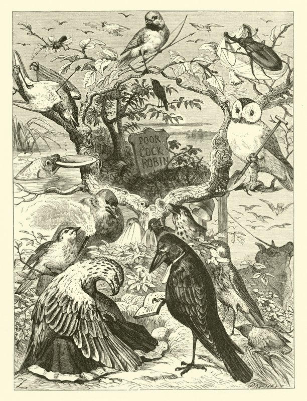 Cock Robin halála és temetése alkotó: English School