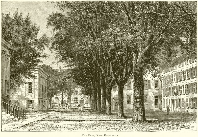 The Elms, Yale Egyetem alkotó: English School
