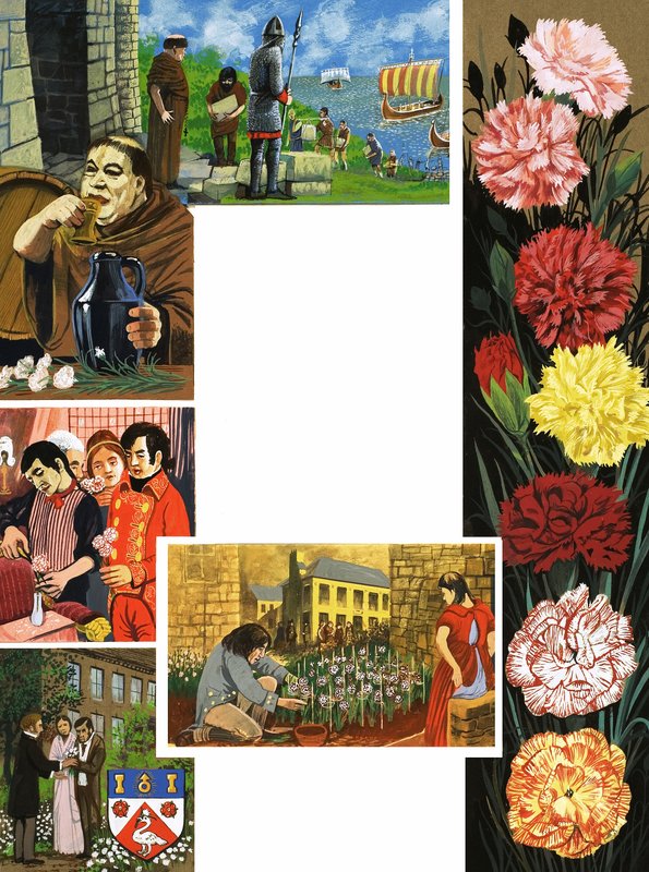 A virágzó virágok: Fényes szegfű alkotó: English School