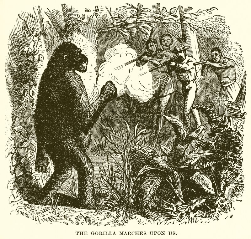 A Gorilla ránk vonul alkotó: English School