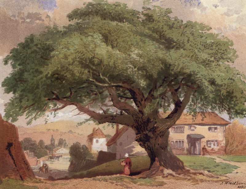 The Great Ash, Surrey-i jelenet (színes litó) alkotó: English School