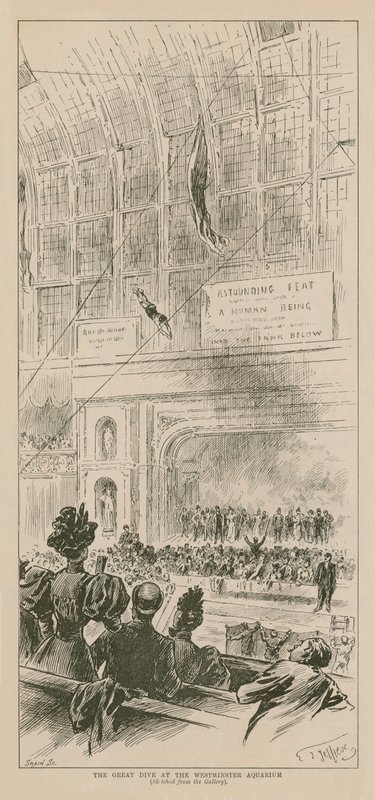 A nagy merülés a Westminster Aquariumban alkotó: English School