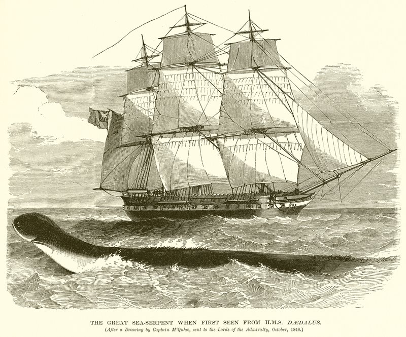 A nagy tengeri kígyó, amikor először látták a H.M.S. Daedalus alkotó: English School