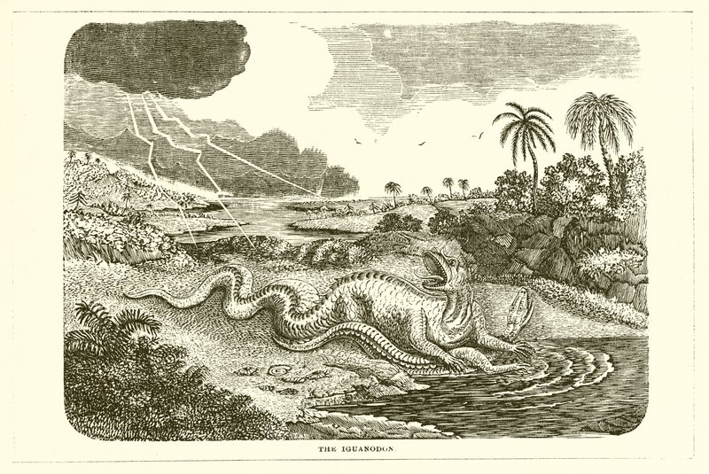 Az Iguanodon alkotó: English School